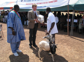 11 Chevre Et Coq En Cadeau